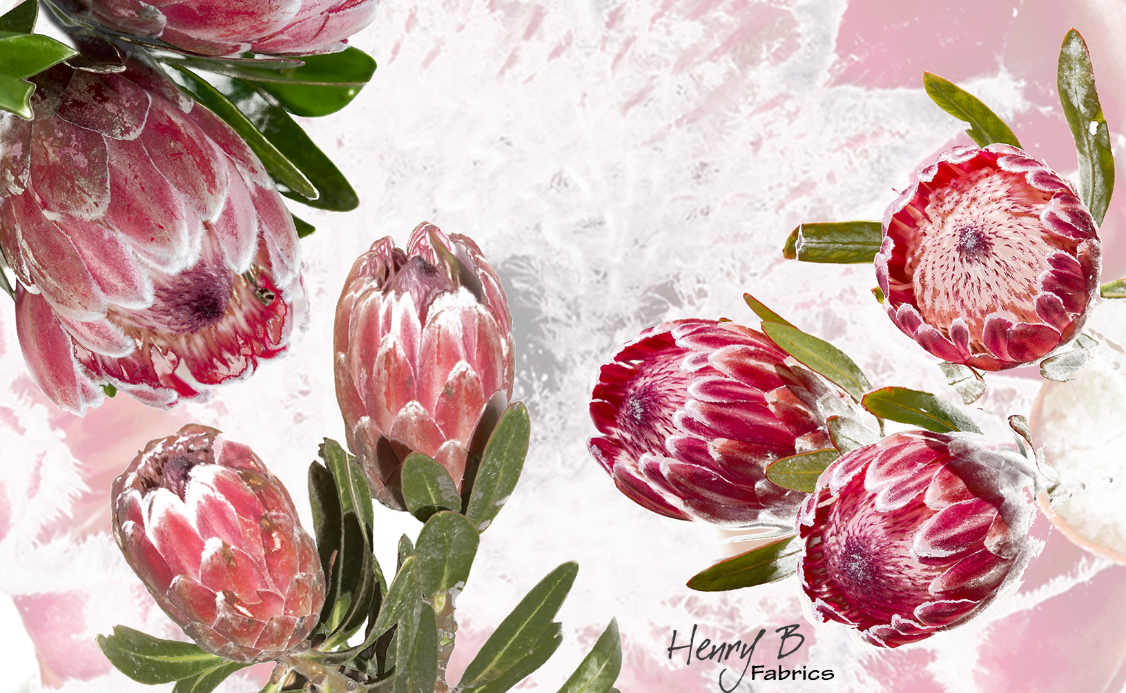 protea-placemat-9